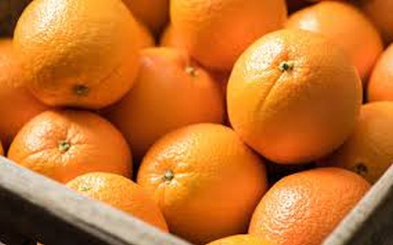 CoronaVirus: Increased demand for oranges that increase immunity | CoronaVirus : प्रतिकारक्षमता वाढविणाऱ्या संत्र्याची मागणी वाढली
