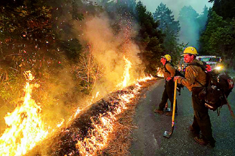 Forest fires in Oregon, USA, ready to evacuate 5 lakh citizens | अमेरिकेच्या ओरेगॉनमधील जंगलांत आग, ५ लाख नागरिकांना हलविण्याची तयारी