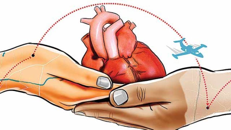 Special committee to facilitate organ transplantation process | अवयव प्रत्यारोपण प्रक्रिया सुलभ होण्यासाठी विशेष समिती