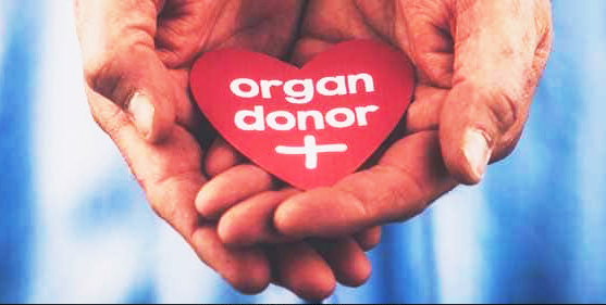 Organ donation | अवयवदान श्रेष्ठदान