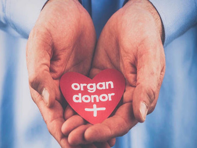 Given to organisation due to organs | अवयवदानामुळे मिळाले तिघांना जीवनदान