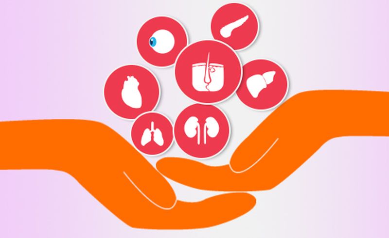  Patients are encouraged to use neonatal, organ donation, Pune and Pimpri-Chinchwad due to the components of brained youth. | ब्रेनडेड युवकाच्या अवयवांमुळे रुग्णांना नवसंजीवनी, अवयव दान, पुणे व पिंपरी-चिंचवड येथील चौघांना उपयोग  