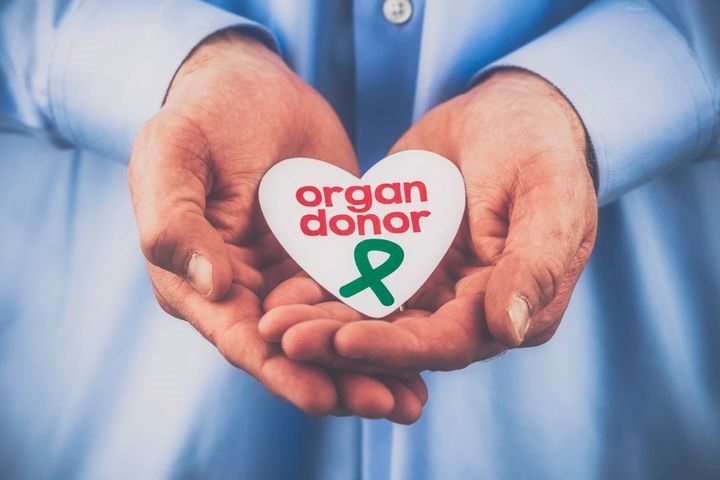  Under 'Vision Ganesha', 40 people make the resolution of organ donation | ‘दृष्टी गणेशा’ अंतर्गत ४० जणांनी केला देहदानाचा संकल्प!