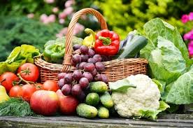 agriculture university to give Organic vegetables to citizens | नागरिकांना देणार सेंद्रिय भाजीपाला; डॉ.पंदेकृविचा उपक्रम  