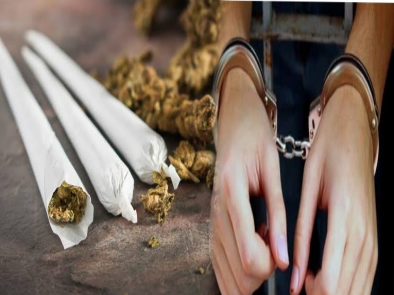 Both were handcuffed for carrying drugs in Pimpri; 42,000 cannabis seized | पिंपरीत अंमली पदार्थ बाळगल्याप्रकरणी दोघांना ठोकल्या बेड्या; ४२ हजारांचा गांजा जप्त