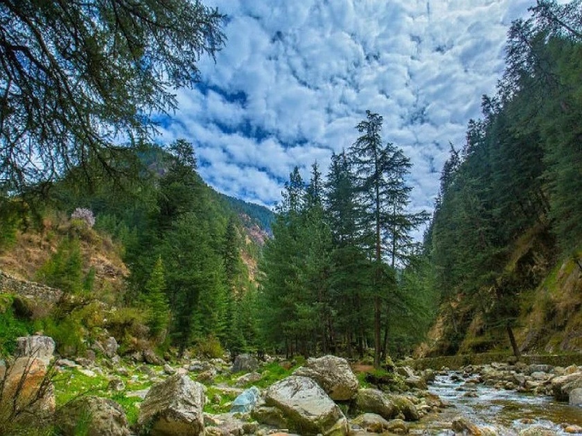 Plan a trip to Pabbar valley Himachal Pradesh for amazing experience | भारतातील असं ऑफबीट ठिकाण जिथे घेऊ शकता पैसा वसूल ट्रिपचा आनंद!