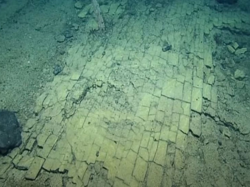 Road has been found in the depths of the pacific ocean | Pacific Ocean: समुद्राच्या तळाशी आढळून आला अनोखा रस्ता, बघून संशोधक झाले हैराण