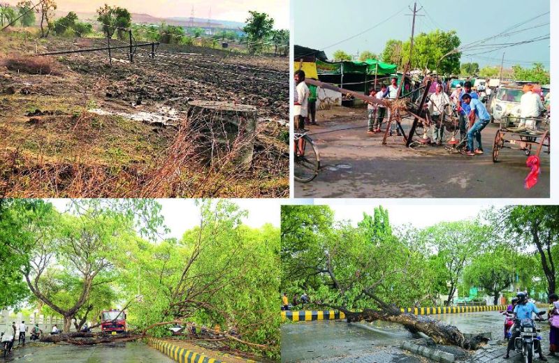 Storm of Nagpur: Lightning electric pole fell, trees fell | नागपुरात वादळाचा फटका : विजेचे खांब वाकले, झाडे पडली
