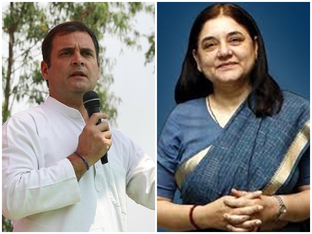 Lok Sabha Election 2019 rahul gandhi campaign against aunt maneka | राहुल गांधींनी काकूंसाठी रद्द केली सभा ? बैठक घेऊन उरकला प्रचार