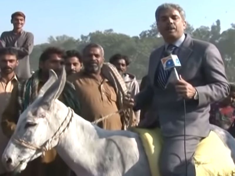 Pakistani news reporter falls from donkey while reporting about increasing number of donkeys | VIDEO: चांद नवाबचा भाऊ आला रे! पाकिस्तानी पत्रकाराचं चक्क गाढवावर बसून रिपोर्टिंग