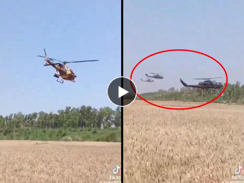 Pakistan uses Advanced Helicopters for Drying Wheat Crop of PM Shahbaz Sharif claims Viral Video know the truth fact check | पाकिस्तानात पावसामुळे भिजलेले गव्हाचे पीक सुकविण्यासाठी वापरली लष्कराची हेलिकॉप्टर्स? जाणून घ्या दाव्यामागील सत्य