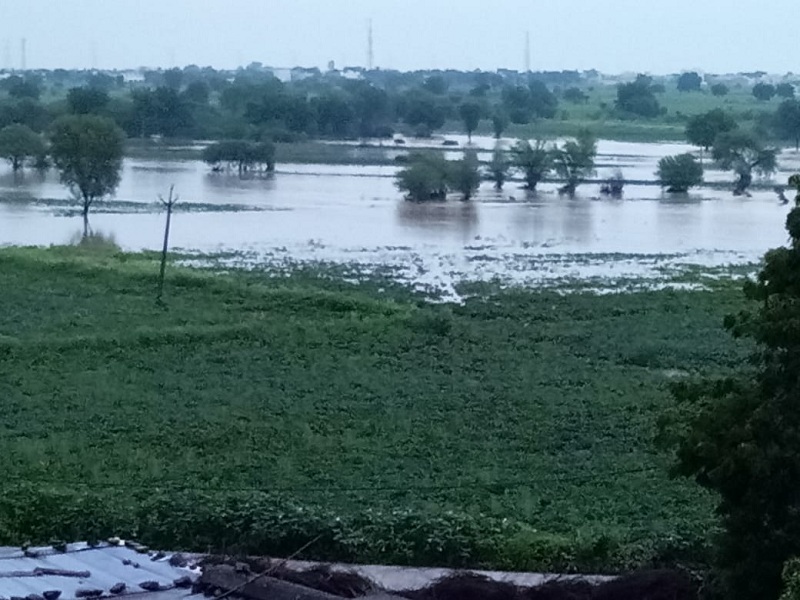 Due to flood in Palam taluka, two thousand hectares of crops are under water | पालम तालुक्यात पुरामुळे दोन हजार हेक्टर पिके पाण्याखाली