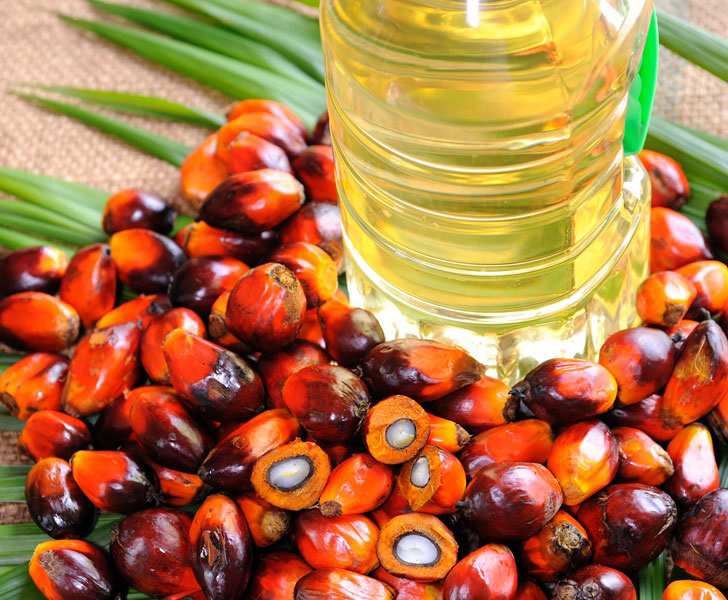 Expert advice; Palm oil is harmful to the heart; It is advisable to avoid cooking! | तज्ज्ञांचा सल्ला; पामतेल हृदयासाठी अपायकारक; स्वयंपाकात वापर टाळणे योग्यच !