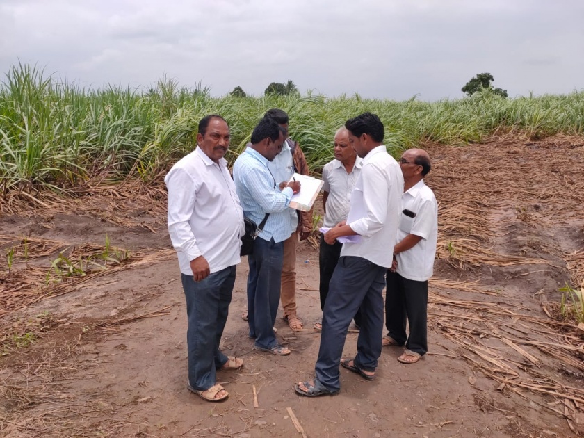 59 per cent of the damaged crop area started at Panchanama, the rest of the pancamacha also started at speed | नुकसानग्रस्त 59 टक्के पीक क्षेत्राचा पंचनामा, उर्वरित पंचनामेही गतीने सुरू