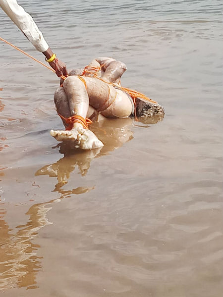 Due to drowning in river bed; The incident at Gursale in Pandharpur taluka | नदीपात्रात बुडवून एकाची केली हत्या;  पंढरपूर तालुक्यातील गुरसाळे येथील घटना
