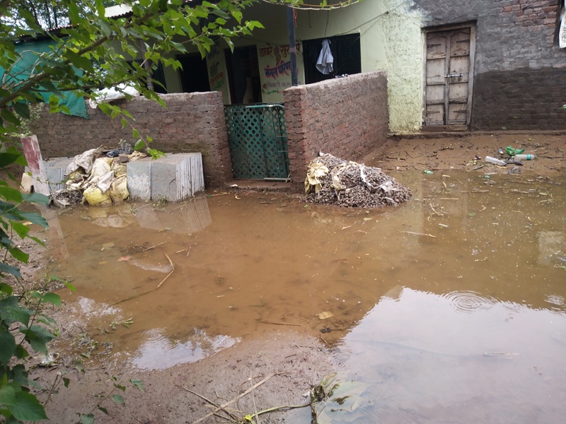 Floods flooded Pandharpur; The swamp began to grow | पंढरपुरात पूर लागला ओसरू; वाढू लागली दलदल