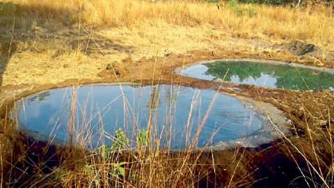 Determination to create water ponds through public participation | लोकसहभागातून पाणवठे तयार करण्याचा निर्धार ; वन्यजीवप्रेमींचा पुढाकार 