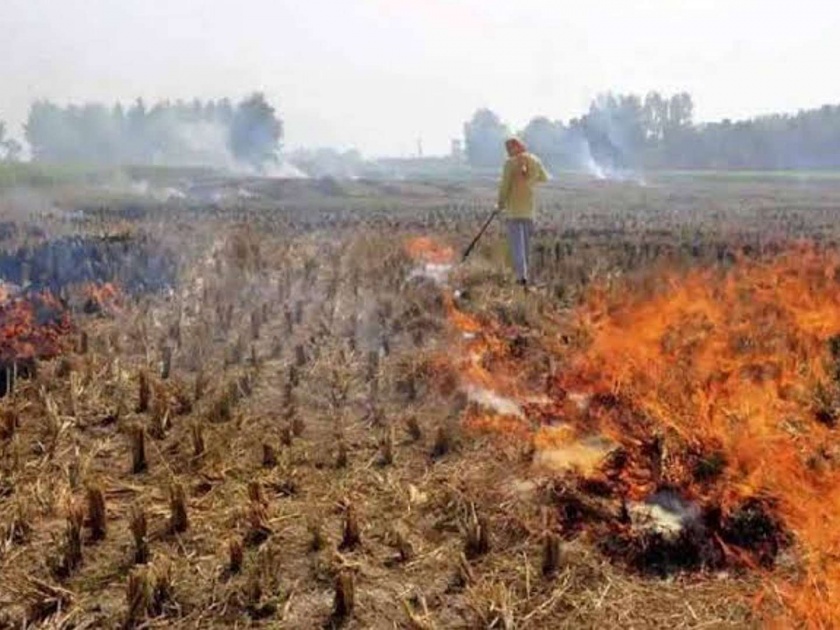 supreme court orders incentives for punjab haryana and up farmers rs 100 per quintal | पराली न जाळण्यासाठी शेतकऱ्यांना प्रतिक्विंटलला 100 रुपये द्या- सर्वोच्च न्यायालय