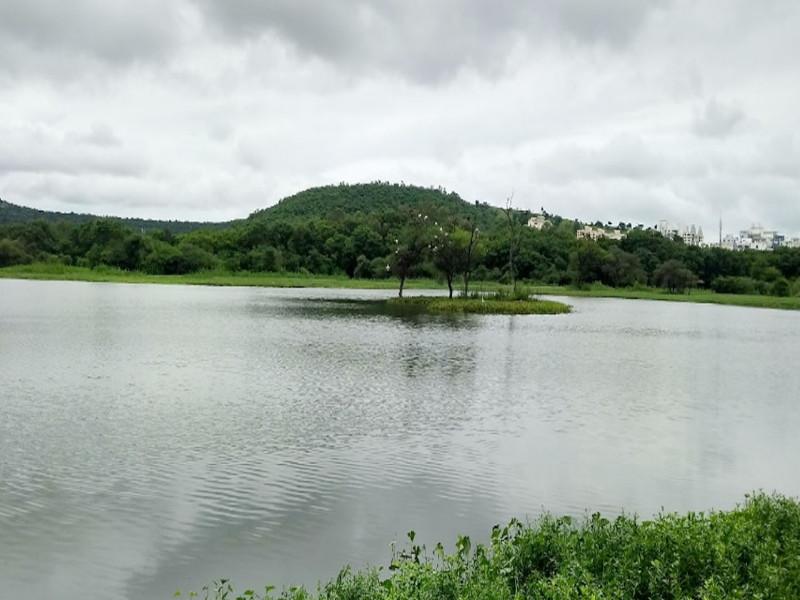 The plight of the British era stone lake in Pune due to pollution | Pashan Lake: पुण्यातील ब्रिटिशकालीन पाषाण तलावाची प्रदूषणामुळे दुर्दशा
