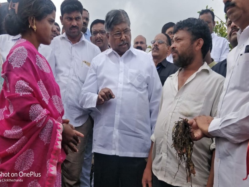 Maharashtra government try to take help from central government : Chandrakant Patil | शेतकऱ्यांसाठी १० हजार कोटींची तरतूद ; उर्वरित मदत केंद्राकडे मागणार 