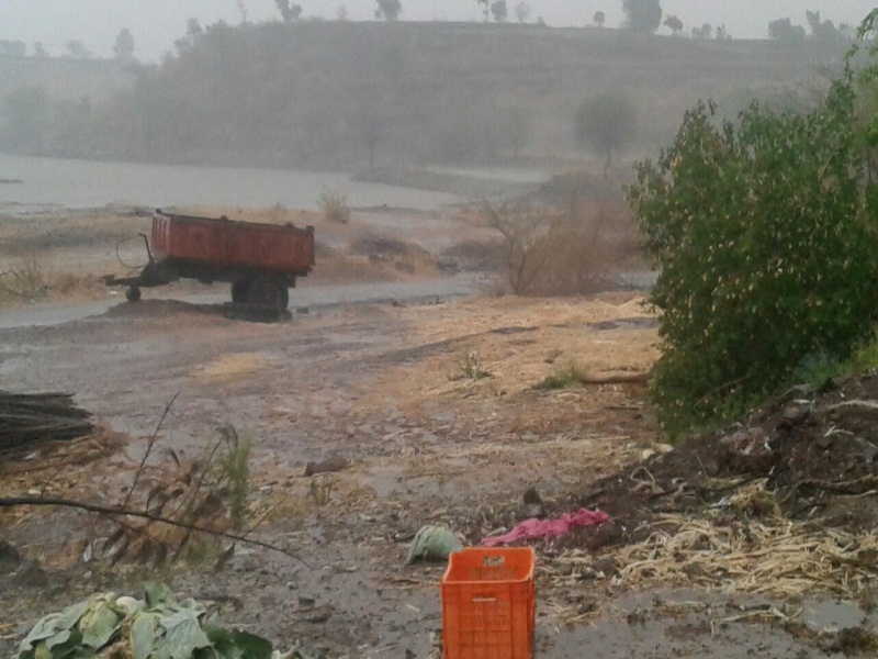 Heavy loss of Rabi crop due to hailstorms and storms | गारपीट व वादळामुळे रब्बीचे पिकाचे प्रचंड नुकसान
