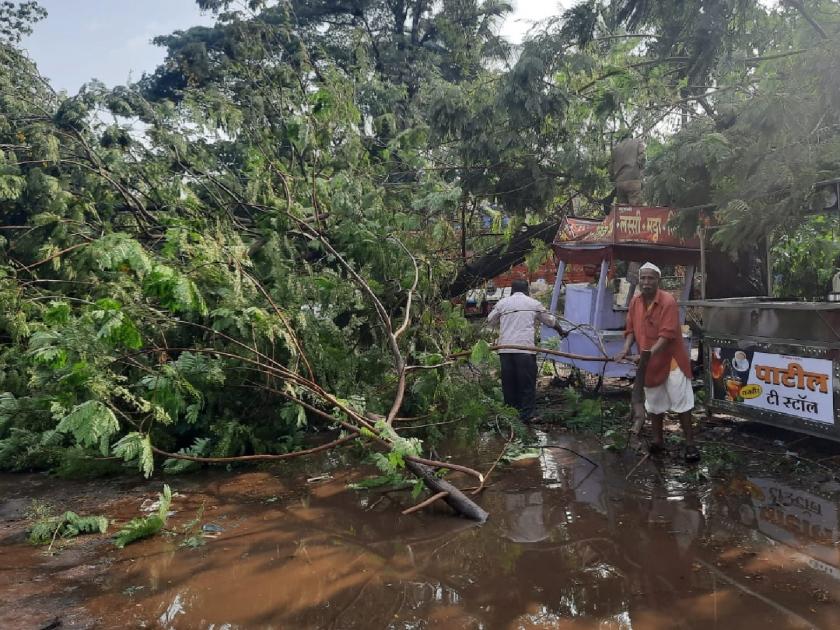 Sangli city of was lashed by rains with strong winds | शहराला वादळी वाऱ्यासह पावसाने झोडपले; ठिकठिकाणी झाडांच्या फांद्या, विद्युत तारा तुटल्या