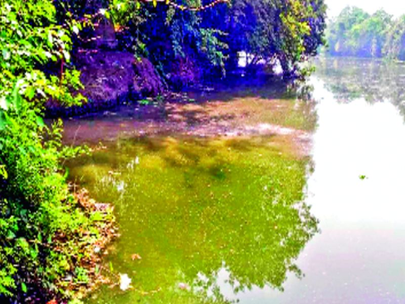 Pawan River pollinated by melting water | पवनेचे झाले गटार : मैलामिश्रित पाण्याने नदीपात्र प्रदूषित