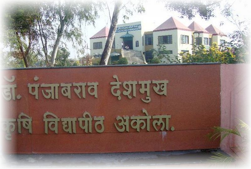 Complaint To enquiry of Dr. Panjabrao Deshmukh Agricultural University's work | डॉ. पंजाबराव देशमुख कृषी विद्यापीठाच्या कारभाराच्या चौकशीसाठी कृषी राज्यमंत्र्यांकडे तक्रार!