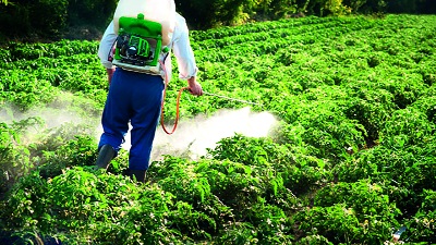Millions of pesticides, fertilizers, poured on the open! | लाखो रुपयांची कीटकनाशके, खते उघड्यावर फेकून दिली!