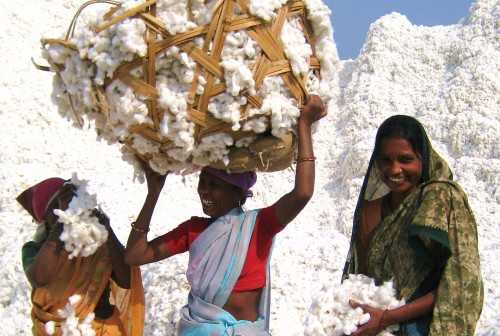 The dream from cotton to cloth | कापूस ते कापड फसलेले स्वप्न