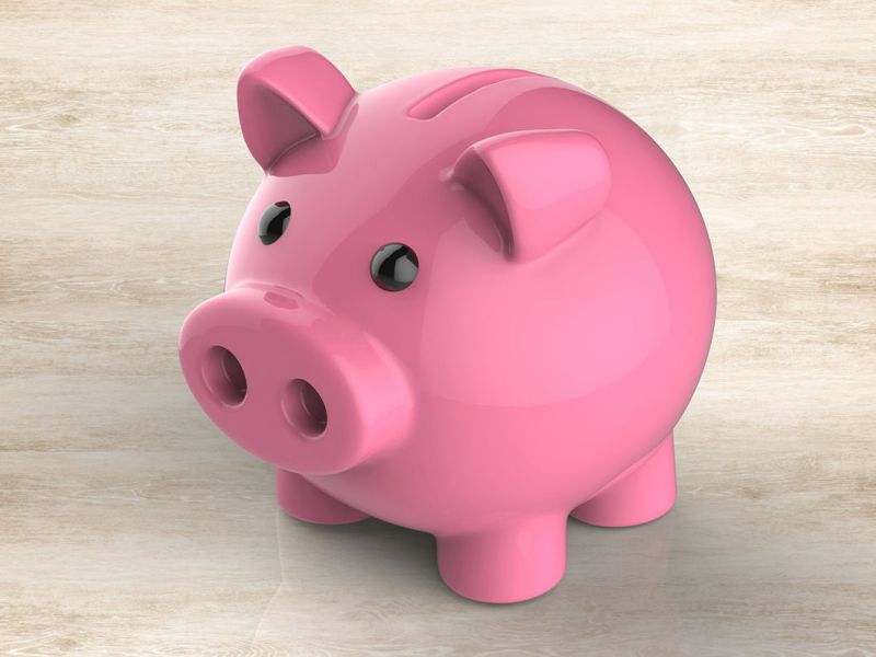 Why pig in piggy bank design know the history of piggy bank | चिखलात राहणारा 'डुक्कर' कसा झाला पिग्गी बॅंक? जाणून घ्या कारण!