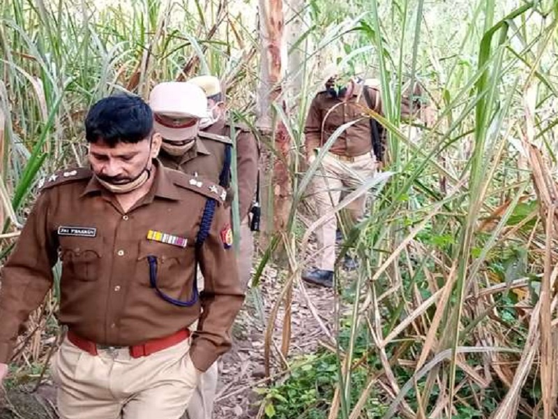 Minor girl Murder after gang rape in pilibhit UP, body found near her house | अल्पवयीन मुलीची सामूहिक बलात्कारानंतर हत्या, घराजवळील शेतात फेकला मृतदेह