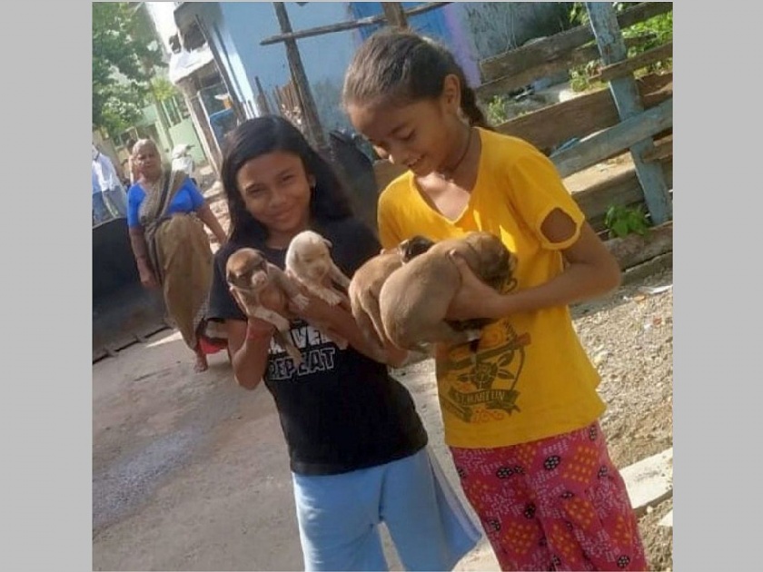two little girl saved the lives of 11 dog puppies in chandrapur | कौतुकास्पद! 'त्या' दोन बालिकांच्या समय सूचकतेने वाचवले श्वानाच्या ११ पिल्लांचे प्राण
