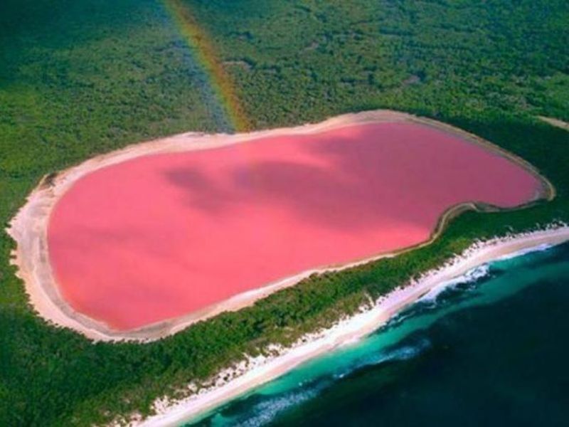 Pink lake hillier in australia and visit the famous tourist spot in Australia | तुम्ही कधी गुलाबी रंगाचं पाणी असलेला तलाव पाहिलाय का?