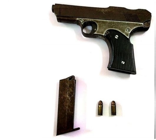 Pistols, live cartridges seized in Nagpur | नागपुरात पिस्तूल, जिवंत काडतूस जप्त
