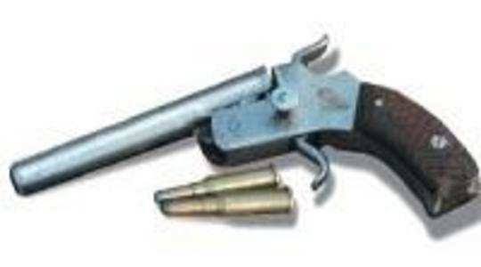Two live cartridges seized, two trapped | गावठी पिस्तुलासह दोघांना अटक, २७ जिवंत काडतुसे जप्त : सापळा रचून कारवाई