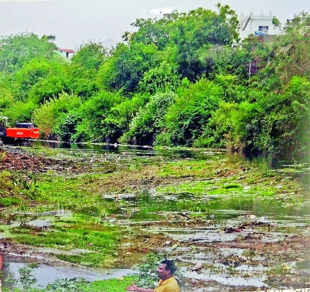 Thakuramatur cleaning of yellow river in Nagpur |  नागपुरातील पिवळ्या नदीची थातूरमातूर सफाई 
