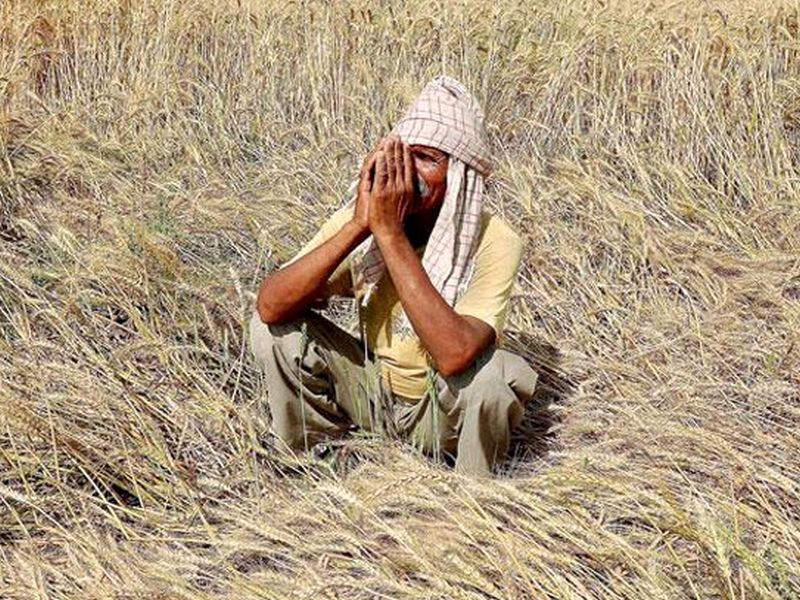 Crop Insurance of Rs. 2 ; The farmer in Karnataka got the check | 'तब्बल' 2 रुपयांचा पीक विमा; कर्नाटकातील शेतकऱ्याला आला चेक