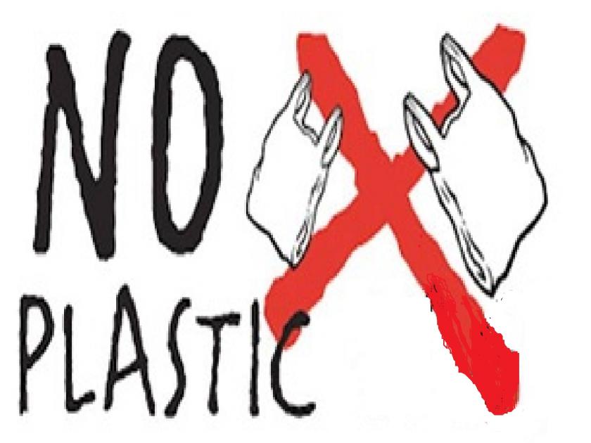 100 villages of Satara district step towards plastic waste elimination | सातारा जिल्ह्यातील १०० गावांचं पाऊल प्लास्टिक कचरामुक्तीकडे