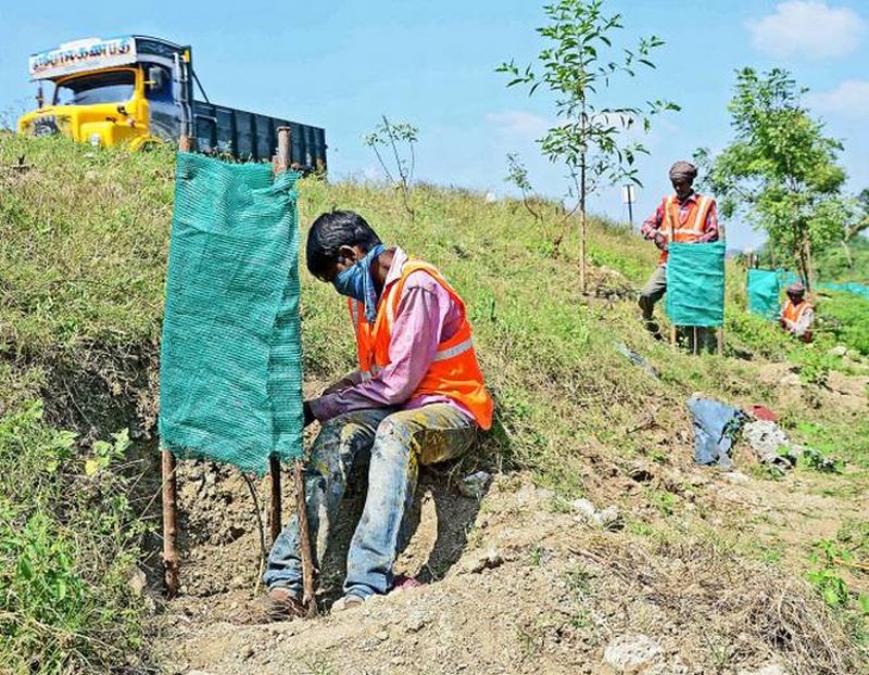 Resident of the district will remain blank in the plantation drive | वृक्ष लागवड मोहिमेत जिल्ह्यातील महामार्ग राहणार निरंक