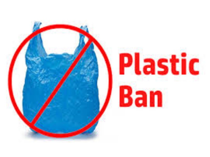 Action on the use of plastic bags in pimpri | पिंपरीत प्लास्टिक पिशव्या वापरांवर कारवाई