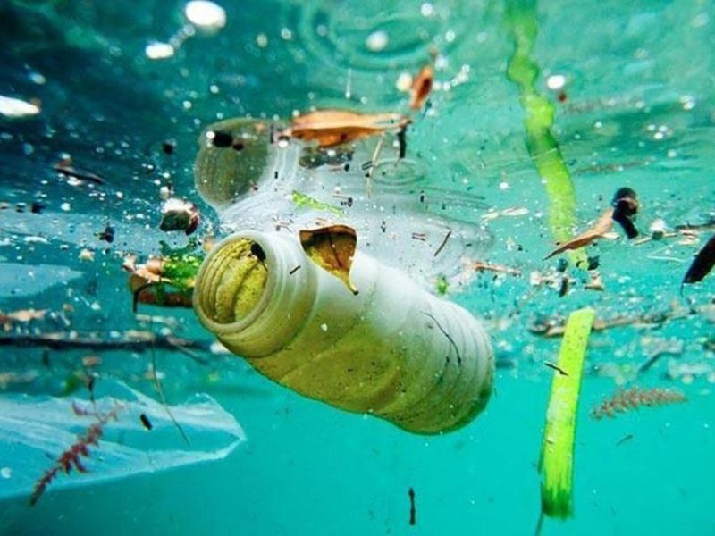 Oceans would have more plastics than fish by 2050 reveal studies | धोक्याची घंटा... '२०५० मध्ये समुद्रात प्लास्टिक जास्त आणि मासे कमी असतील'