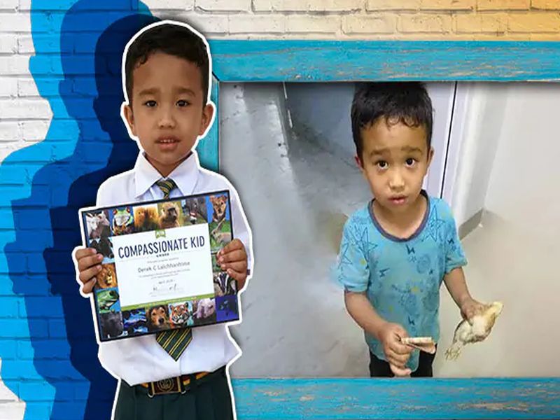 Mizoram boy who rushed injured chick to hospital gets PETA award | 'जिंकलस बेटा'... कोंबडीच्या पिल्लासाठी धावणाऱ्या चिमुकल्याचा PETA कडून सन्मान