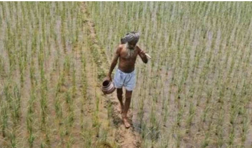 PM Kisan's sixth installment on farmers' account | पीएम किसानचा सहावा हप्ता शेतकऱ्यांच्या खात्यावर