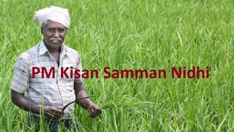 1.99 lakh farmers in Akola district benefit from 'PM-Kisan'! | अकोला जिल्ह्यातील १.९९ लाख शेतकऱ्यांना ‘पीएम-किसान’चा लाभ!