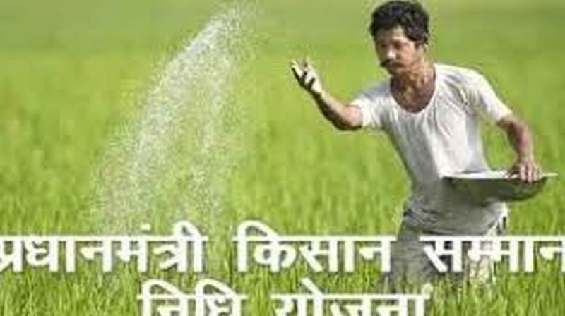  PM Kisan Sanman Nidhi: Special campaign to update farmers information | PM Kisan Sanman Nidhi : शेतकऱ्यांची माहिती अद्ययावत करण्यासाठी  विशेष मोहीम 