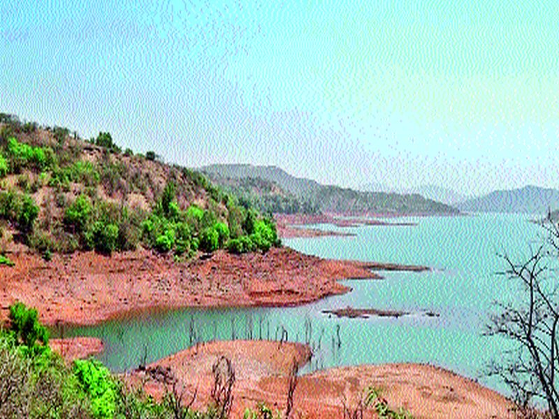 Neera Devgarh, Bhatghar dams reached by the base | नीरा देवघर, भाटघर धरणांनी गाठला तळ