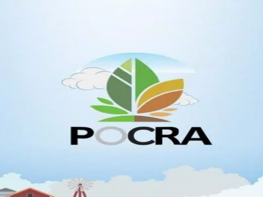 Report on Pokra Scam in Paithan Blames Beneficiary Farmers; However, 'clean cheat' for officials and employees of agriculture department | पोकरा घोटाळा चाैकशी अहवालात लाभार्थी शेतकऱ्यांवर ठपका; अधिकारी-कर्मचाऱ्यांना ‘क्लीन चीट’