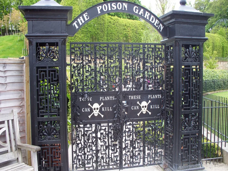 The alnwick poison garden, life goes away as you breathe in this garden | 'या' बागेतील फुलांचा वास घेताच जातो जीव, 100 पेक्षा जास्त लोकांचा झालाय मृत्यू