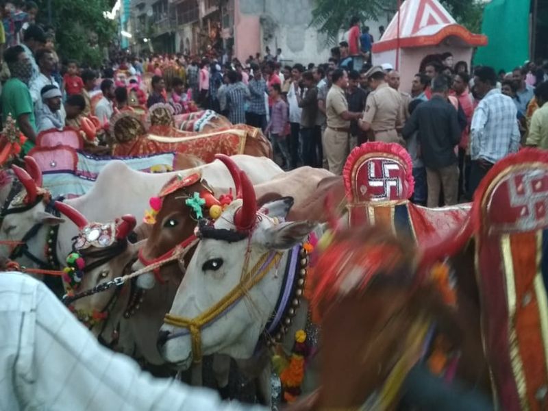 Pola festival celebrated in Khamgaon | खामगावात पोळा सण उत्साहात साजरा 